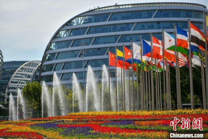 第五屆進博會場館景觀裝飾全面定妝?！￡悏魸?攝