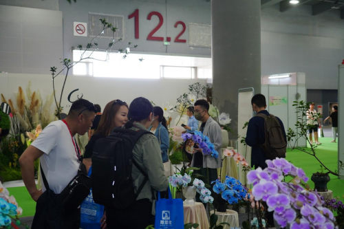 2024花城“新秀花事”亮點搶先看！和廣州國際花藝節(jié)一起解鎖“花經(jīng)濟”財富密碼(圖4)